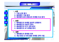 에버랜드의 마케팅전략 분석-2