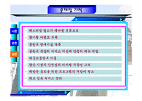 에버랜드의 마케팅전략 분석-13
