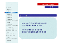 [국제경영] LG전자의 Zenith 인수-11