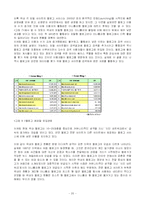 사이버공론장의 가능성-20