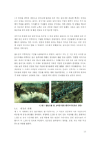 [서양근현대사] 세계 1차 대전-13