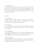 [경영학]인터넷마케팅 성공사례 기업 조사-5