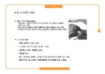 (노숙자 문제) 여성 및 가족 노숙자의 실태와 문제점 및 해결방안 탐색 발표자료-3