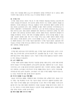 (기업 성공 사례) 창의력 극대화 브랜드 아이리버의 마케팅 전략과 문제점 및 향후 방안-6