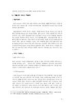[국제경영론] BATKOREA의 국내시장진출 전략-6
