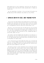 [국제경영론] BATKOREA의 국내시장진출 전략-18