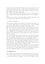[국제커뮤니케이션]거대 뉴미디어 기업의 전략 분석-8