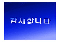 [국제커뮤니케이션]거대 뉴미디어 기업의 전략 분석-12