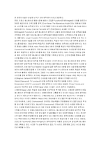 한국의 애니메이션 산업의 현황과 미래 및 세계 각 국의 애니메이션 산업-10