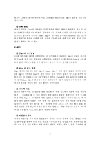 [인적자원관리]맥도날드를 통해 알아본 비정규직 인적자원관리 방법 연구-13