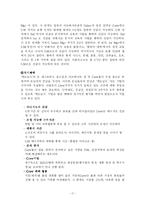 [인적자원관리]맥도날드를 통해 알아본 비정규직 인적자원관리 방법 연구-20
