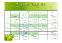 [정보화론]우리나라 장애인 정보화교육의 실태 및 개선방안-12