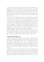 위성 방송 양방향 서비스에 대한 이해와 외국의 사례 및 방송규제에 대한 나아갈 방향-2