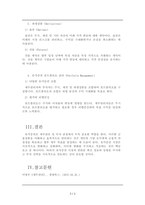 A+레포트 유가증권의 종류에 대해서 설명하시오-3