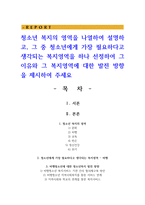 청소년 복지의 영역을 나열하여 설명하고 그 중 청소년에게 가장 필요하다고 생각되는 복지영역을 하나 선정하여 그 이유-1