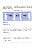 복합운송증권, 복합운송의 주요 경로, 복합운송인-7