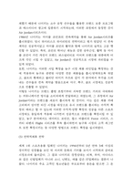 나이키 NIKE 기업경영전략 성공사례분석 & 나이키 BCG매트릭스,SWOT분석 & 나이키 향후전략 제시-7