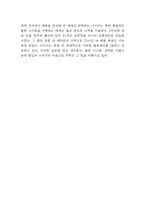 나이키 NIKE 기업경영전략 성공사례분석 & 나이키 BCG매트릭스,SWOT분석 & 나이키 향후전략 제시-10