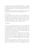 아디다스 SWOT,STP분석과 마케팅믹스 4P전략 분석 및 아디다스 기업소개와 향후시사점 연구-5