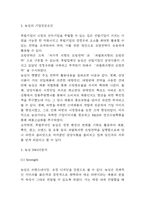 농심 기업전략 성공사례 분석과 SWOT분석 / 농심 성공요인분석과 농심을 위한 향후전략수립-3