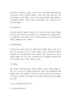 농심 기업전략 성공사례 분석과 SWOT분석 / 농심 성공요인분석과 농심을 위한 향후전략수립-4