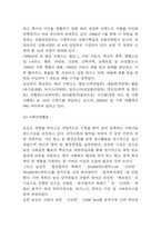 농심 기업전략 성공사례 분석과 SWOT분석 / 농심 성공요인분석과 농심을 위한 향후전략수립-6