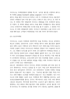 아디다스 마케팅사례 분석과 아디다스 SWOT분석 및 아디다스 향후전략방향 제시-6
