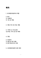 육아종합지원센터 운영요원 보육전문요원 면접 자기소개서-2