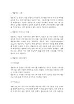 넷플릭스 성공전략과 마케팅전략 분석 및 넷플릭스 비즈니스 모델과 SWOT분석,향후시사점-3