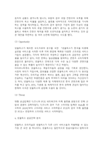 넷플릭스 성공전략과 마케팅전략 분석 및 넷플릭스 비즈니스 모델과 SWOT분석,향후시사점-4