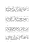 넷플릭스 성공전략과 마케팅전략 분석 및 넷플릭스 비즈니스 모델과 SWOT분석,향후시사점-5