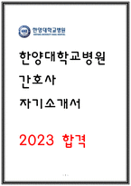 한양대학교병원 자소서 2023 최종합격 지원동기 성과 이상적인 직장의 조건-1
