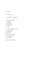 유니클로 UNIQLO 기업전략 사례분석과 SWOT분석 및 유니클로 기업 가치사슬분석과 향후시사점 연구-2