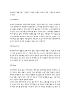 농심 경영전략 사례연구와 농심 SWOT분석,BCG 매트릭스 분석 및 농심의 미래를 위한 전략 제시-4