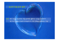 [구매관리]해피랜드 사례분석을 통한 기업 구매관리 분석-11