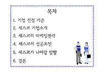 [마케팅원론]세스코의 성공요인 분석-2