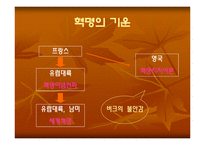 [정치학]프랑스혁명에 관한 고찰-7
