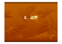 [정치학]프랑스혁명에 관한 고찰-19