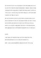 생산적 복지정책과 한국복지국가의 제도적 특징을 기술하시오-8