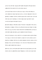 신조어는 언어 환경을 오염시키는 주범인가에 대하여 논하시오-3
