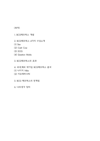 BCG매트릭스 개념,효과,한계점분석 및 국내,해외 대기업 BCG매트릭스 분석과 나의생각 정리-2