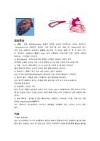 심근경색 문헌고찰-2