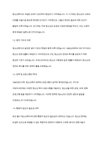 청소년복지론] 청소년복지의 발전과정을 단계별로 기술하고, 우리나라 청소년복지의 발전방향을 제시해 보시오-3