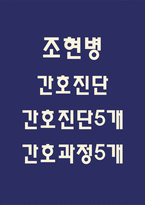 [조현병 간호진단] 조현병 간호진단 케이스 (조현병 간호진단5개,간호과정5개)-1
