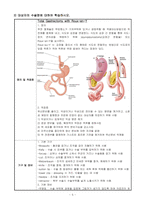 수술간호 실습 사례 보고서 위암 위절제술 영양 불균형 급성 통증-6