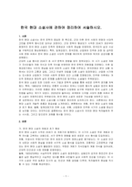 한국 현대 소설사에 관하여 정리하여 서술하시오-1