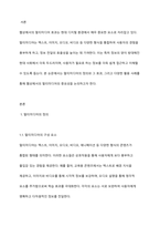 웹상에서의 멀티미디어 효과에 대해 설명하시오-2