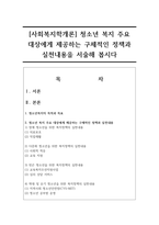 [사회복지학개론] 청소년 복지 주요 대상에게 제공하는 구체적인 정책과 실천내용을 서술해 봅시다-1
