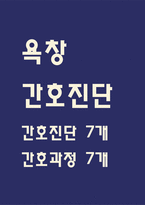 [욕창 간호진단] 욕창 간호진단 간호과정 케이스 (욕창 간호진단7개,간호과정7개)-1