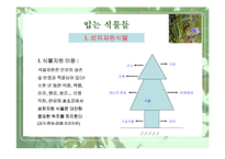[웰빙]식물과 웰빙 소비트렌드-2